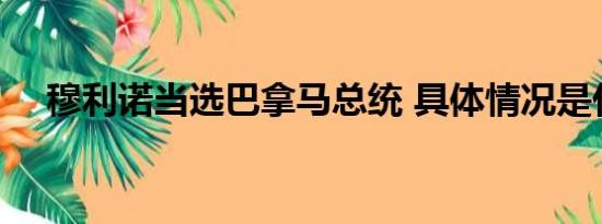 穆利诺当选巴拿马总统 具体情况是什么!