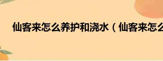 仙客来怎么养护和浇水（仙客来怎么养）