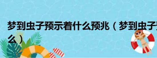 梦到虫子预示着什么预兆（梦到虫子预示着什么）