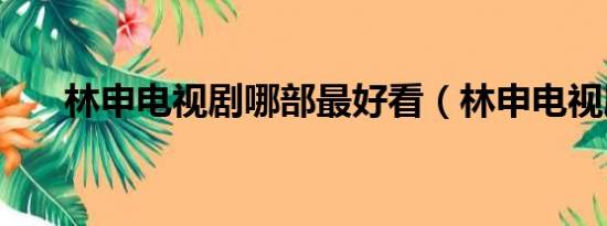 林申电视剧哪部最好看（林申电视剧）