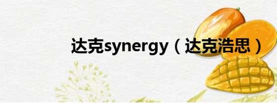 达克synergy（达克浩思）