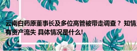 云南白药原董事长及多位高管被带走调查？ 知情人称或涉国有资产流失 具体情况是什么!