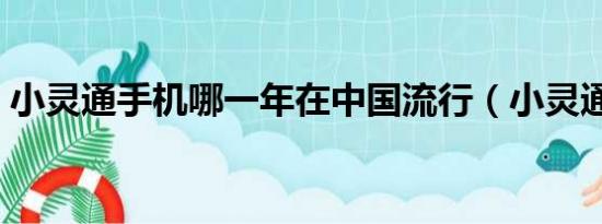 小灵通手机哪一年在中国流行（小灵通手机）