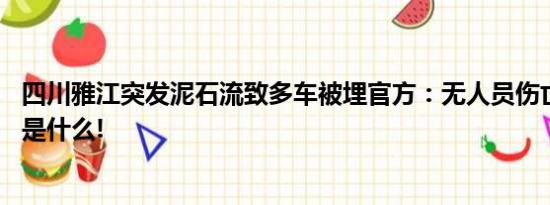 四川雅江突发泥石流致多车被埋官方：无人员伤亡 具体情况是什么!