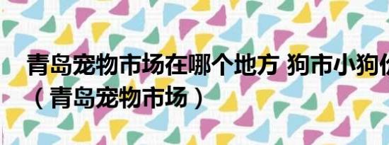 青岛宠物市场在哪个地方 狗市小狗价格多少（青岛宠物市场）