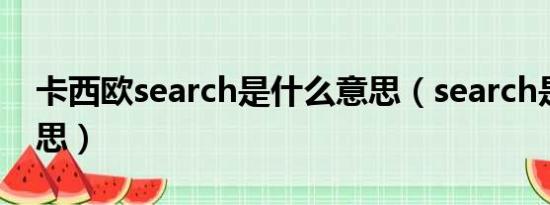 卡西欧search是什么意思（search是什么意思）