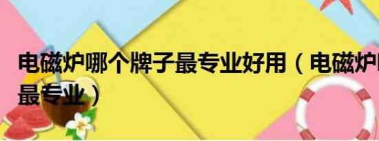 电磁炉哪个牌子最专业好用（电磁炉哪个牌子最专业）