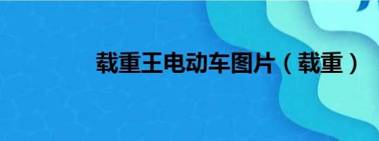 载重王电动车图片（载重）