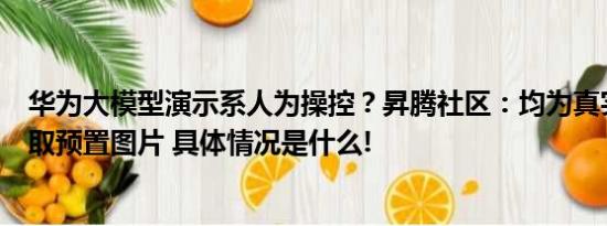 华为大模型演示系人为操控？昇腾社区：均为真实代码非调取预置图片 具体情况是什么!