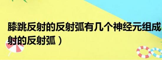 膝跳反射的反射弧有几个神经元组成（膝跳反射的反射弧）