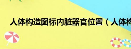 人体构造图标内脏器官位置（人体构造）