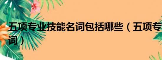 五项专业技能名词包括哪些（五项专业技能名词）