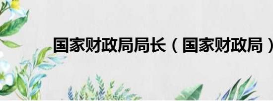 国家财政局局长（国家财政局）