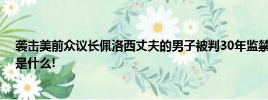 袭击美前众议长佩洛西丈夫的男子被判30年监禁 具体情况是什么!