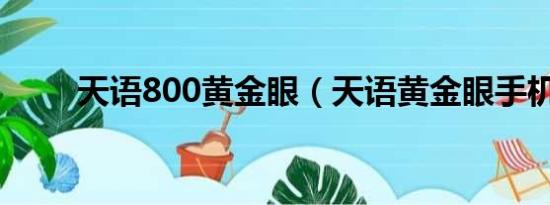 天语800黄金眼（天语黄金眼手机）