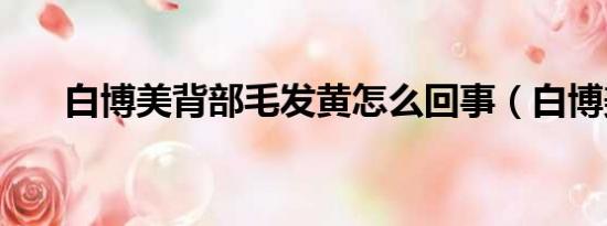 白博美背部毛发黄怎么回事（白博美）