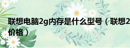 联想电脑2g内存是什么型号（联想2g内存条价格）