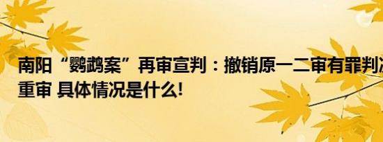 南阳“鹦鹉案”再审宣判：撤销原一二审有罪判决裁定发回重审 具体情况是什么!