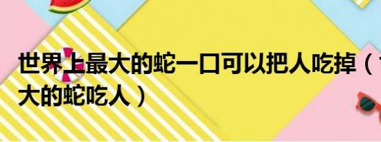 世界上最大的蛇一口可以把人吃掉（世界上最大的蛇吃人）