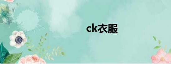 ck衣服