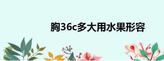 胸36c多大用水果形容