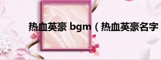 热血英豪 bgm（热血英豪名字）