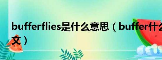 bufferflies是什么意思（buffer什么意思中文）