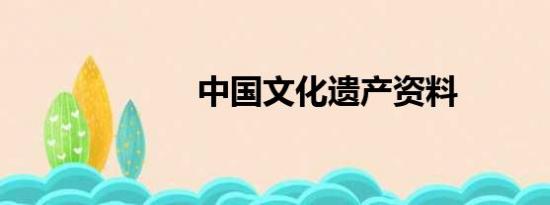 中国文化遗产资料