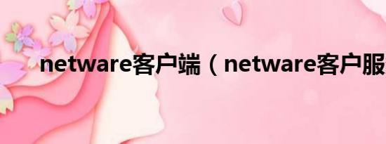 netware客户端（netware客户服务）