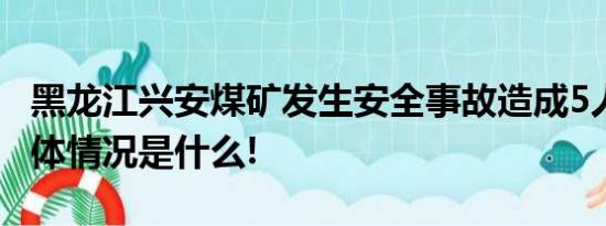 黑龙江兴安煤矿发生安全事故造成5人遇难 具体情况是什么!