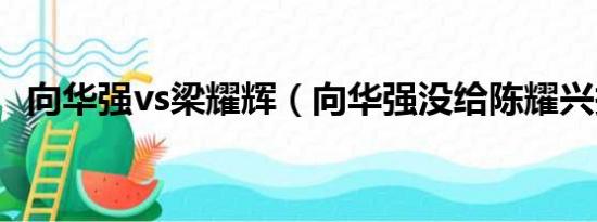 向华强vs梁耀辉（向华强没给陈耀兴报仇）