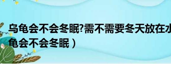 乌龟会不会冬眠?需不需要冬天放在水里?（乌龟会不会冬眠）