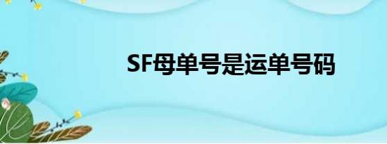 SF母单号是运单号码