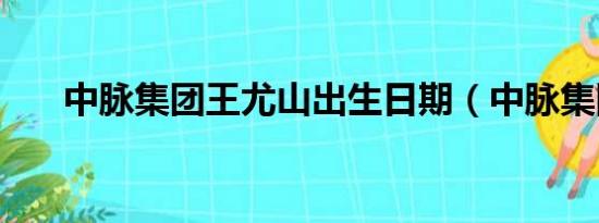 中脉集团王尤山出生日期（中脉集团）