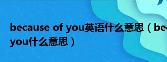 because of you英语什么意思（becauseofyou什么意思）