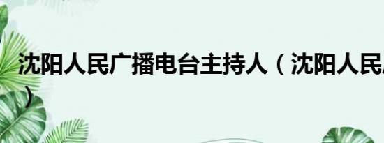 沈阳人民广播电台主持人（沈阳人民广播电台）