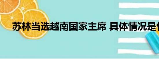 苏林当选越南国家主席 具体情况是什么!