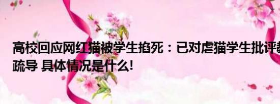 高校回应网红猫被学生掐死：已对虐猫学生批评教育和心理疏导 具体情况是什么!