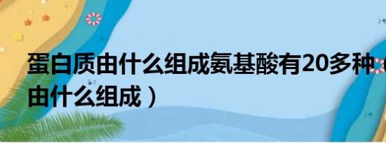 蛋白质由什么组成氨基酸有20多种（蛋白质由什么组成）