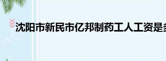 沈阳市新民市亿邦制药工人工资是多少