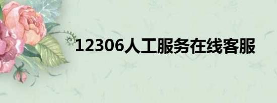 12306人工服务在线客服