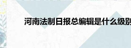 河南法制日报总编辑是什么级别