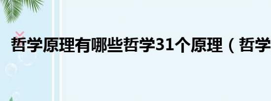 哲学原理有哪些哲学31个原理（哲学原理）