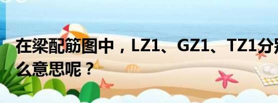 在梁配筋图中，LZ1、GZ1、TZ1分别代表什么意思呢？