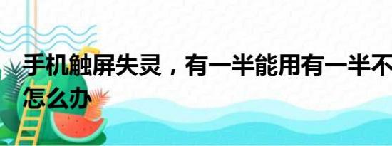 手机触屏失灵，有一半能用有一半不能用了，怎么办