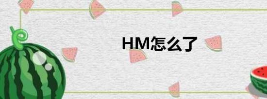 HM怎么了