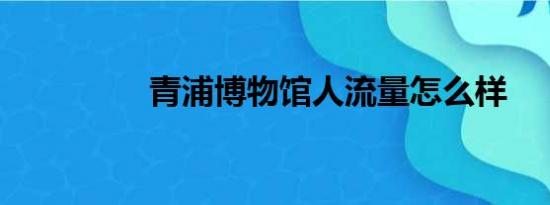 青浦博物馆人流量怎么样