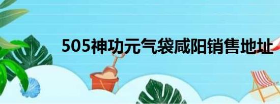 505神功元气袋咸阳销售地址