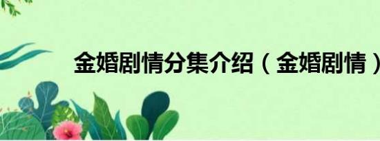 金婚剧情分集介绍（金婚剧情）