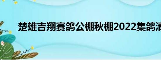 楚雄吉翔赛鸽公棚秋棚2022集鸽清单